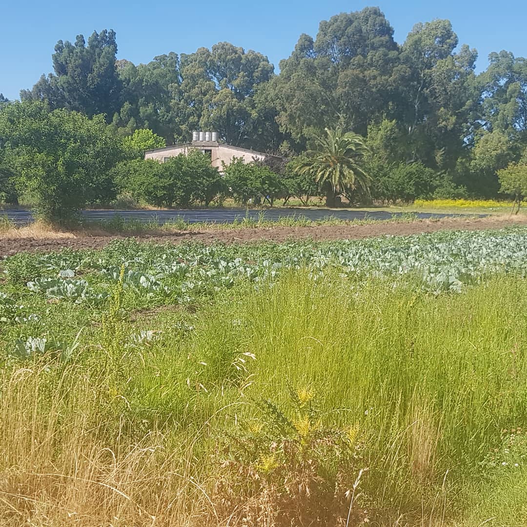Fábrica Los Montes
